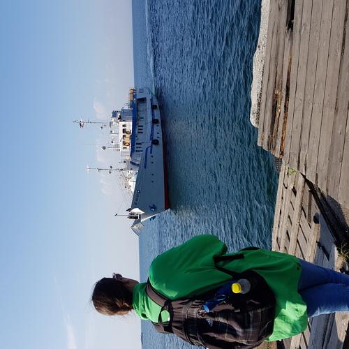 Photo #4690478