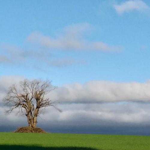 Loneliness