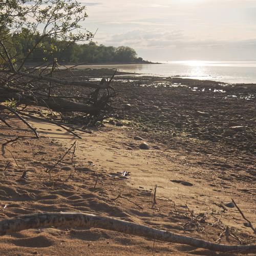 Shore of Kotlin Island