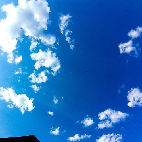 Photo #4691086