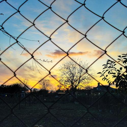 Photo #4691087