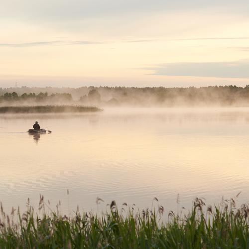 Photo #4691848