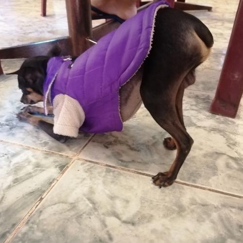 Photo #4692042