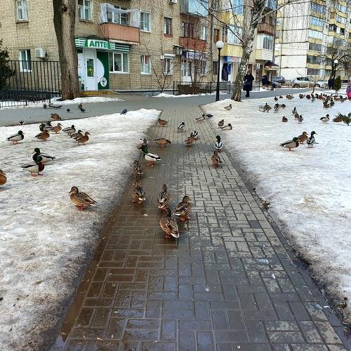 Photo #4692049