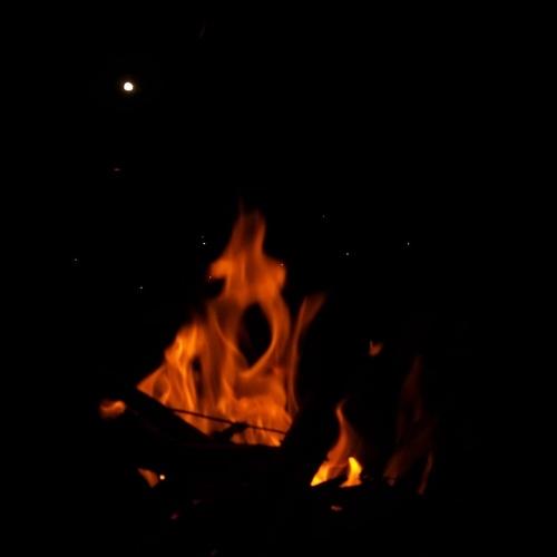 Photo #4692051