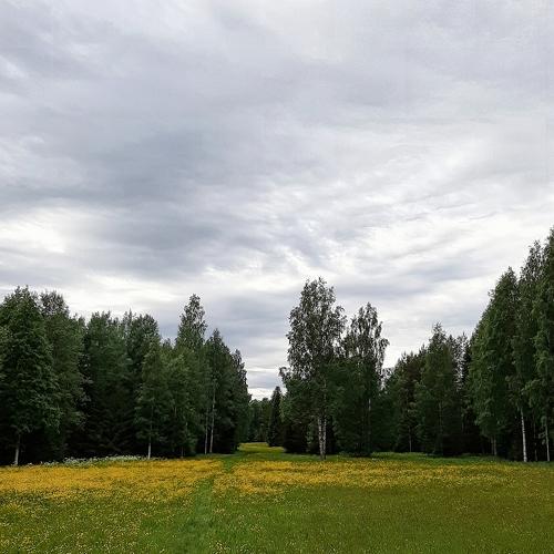 Photo #4692107