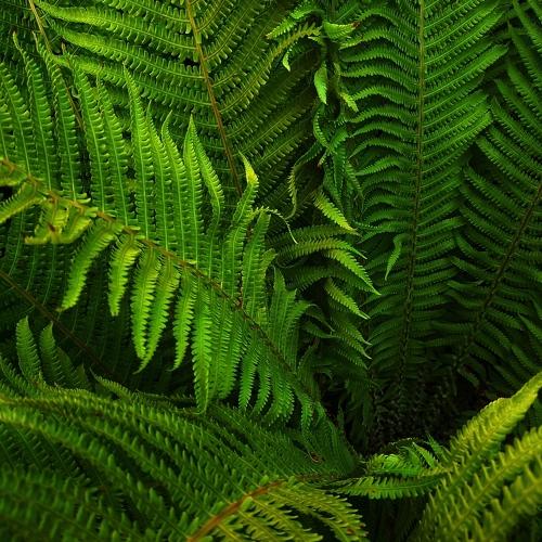 Photo #4692348
