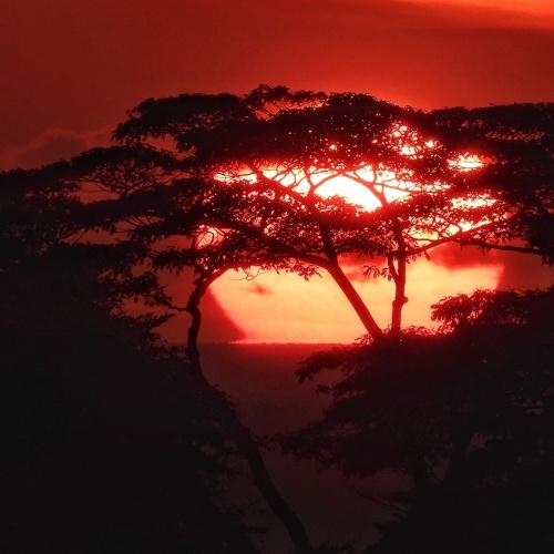 Big Sunset