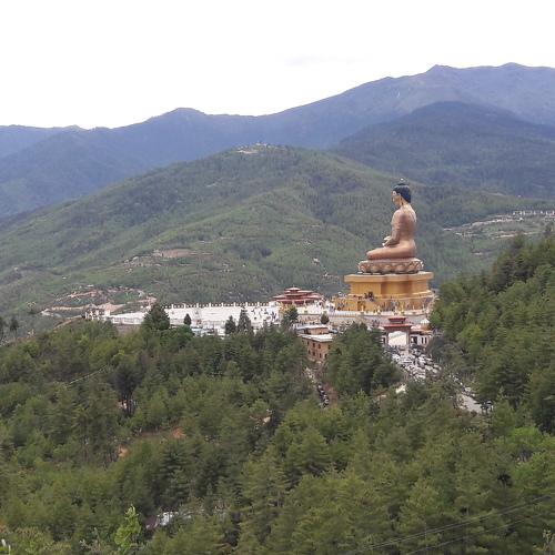 Photo #4692678
