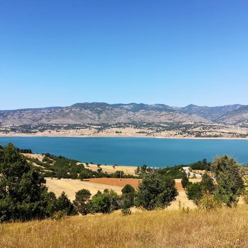 Photo #4692705