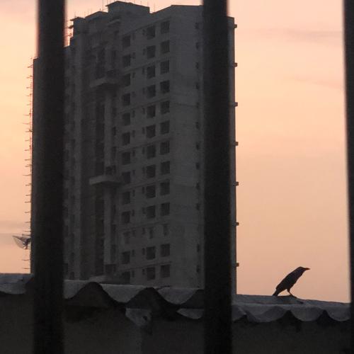 Photo #4692727