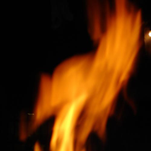 Photo #4692777