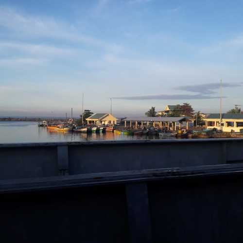 Photo #4693099