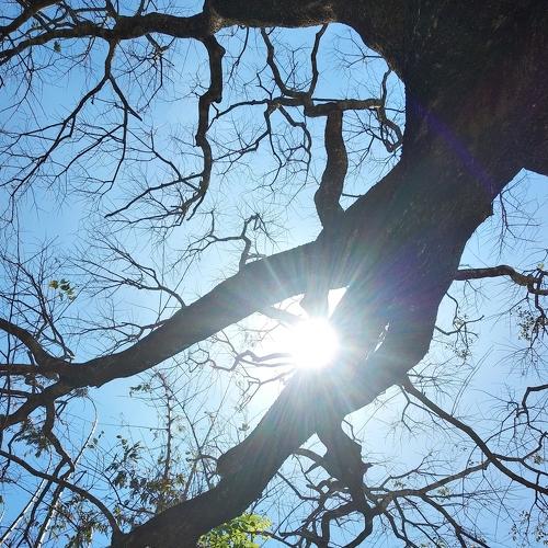 The Sneaking Sunlight