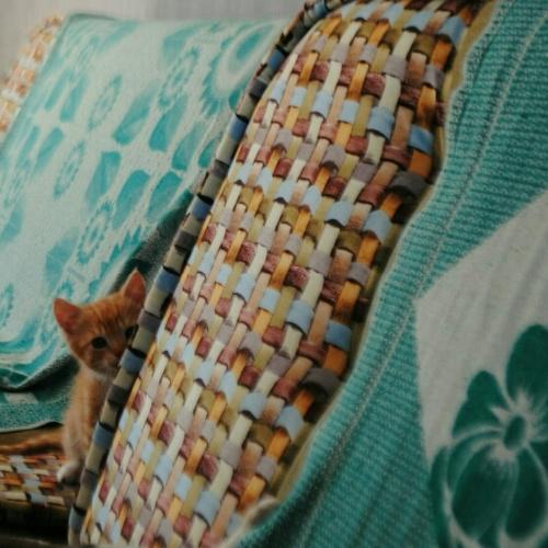 Photo #4693179