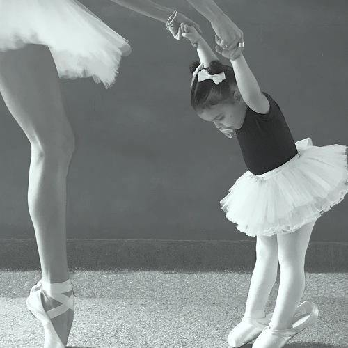 Photo #4693779