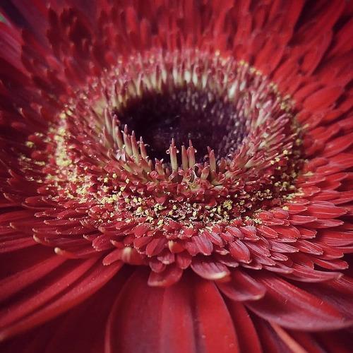 Photo #4693847