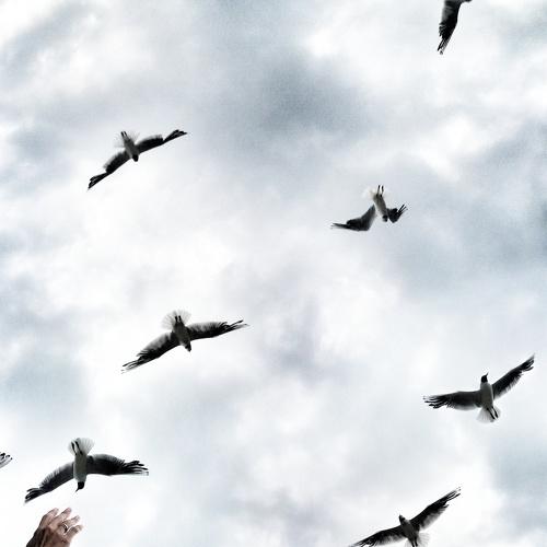 Photo #4693858