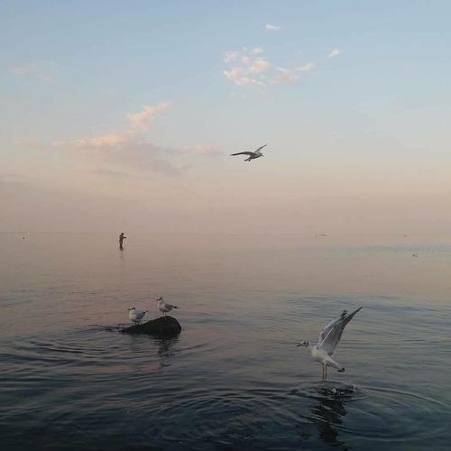 Photo #4693863