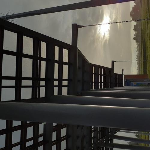 Photo #4693950