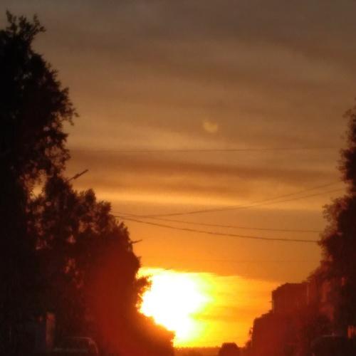 Photo #4693977