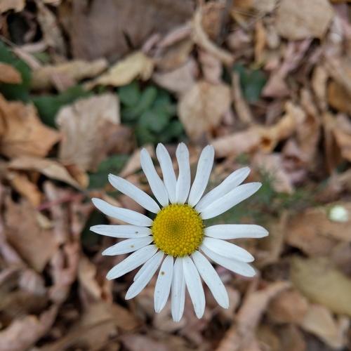 Photo #4694019