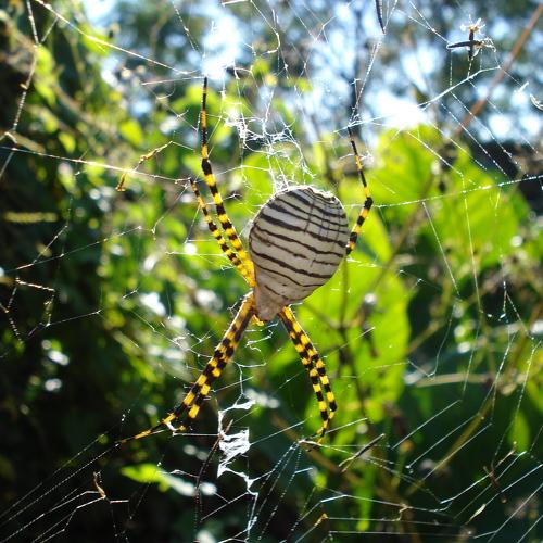 Photo #4694092