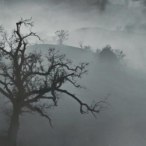 Photo #4694136