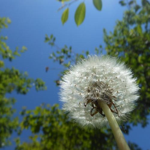Photo #4694283