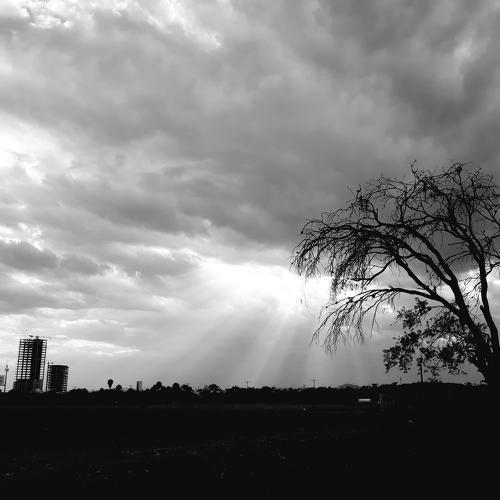 Photo #4694297