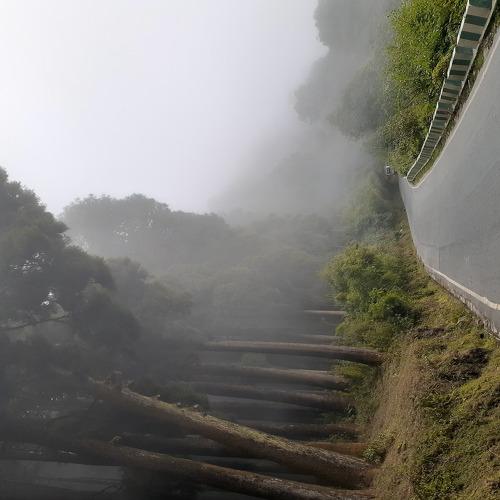 Photo #4694319