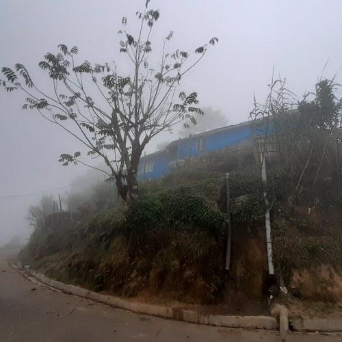 Photo #4694321
