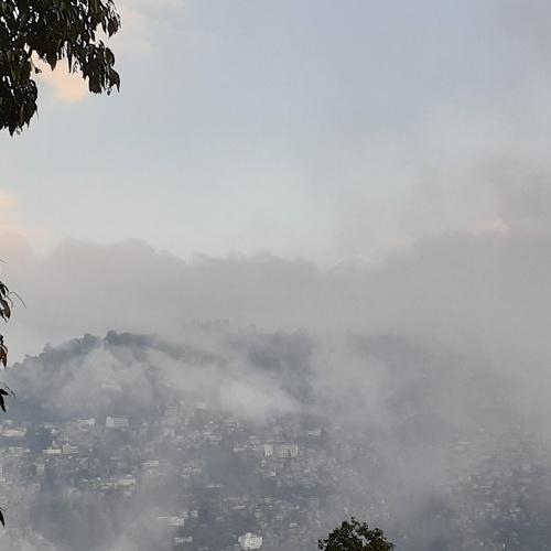 Photo #4694324
