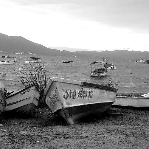 Photo #4694419
