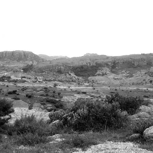 Photo #4694468