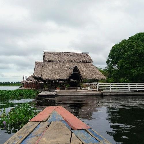 Photo #4695154