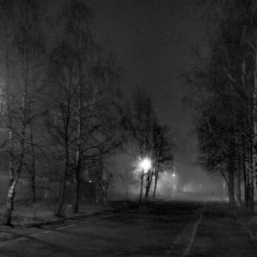 Photo #4695264