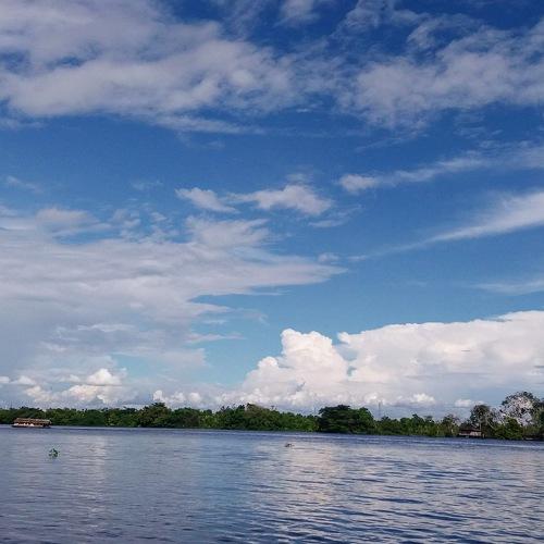Photo #4695815