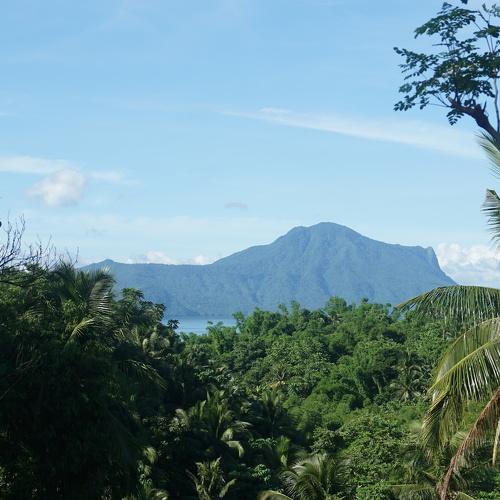 View of Mt. Maculot