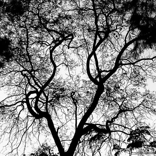 just a tree