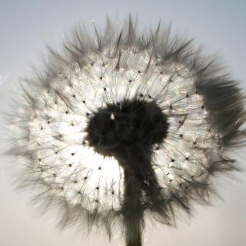 Photo #4696671