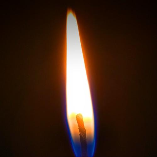 Photo #4697232