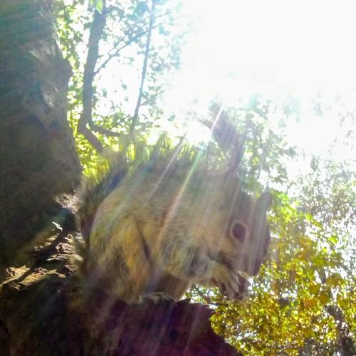 Photo #4697237