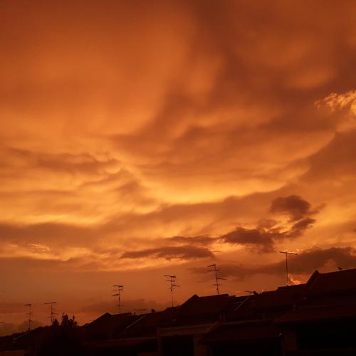 Photo #4697276