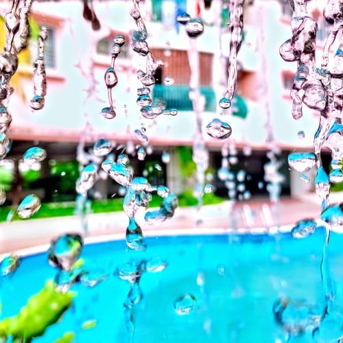 Photo #4697314