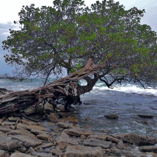Photo #4697877