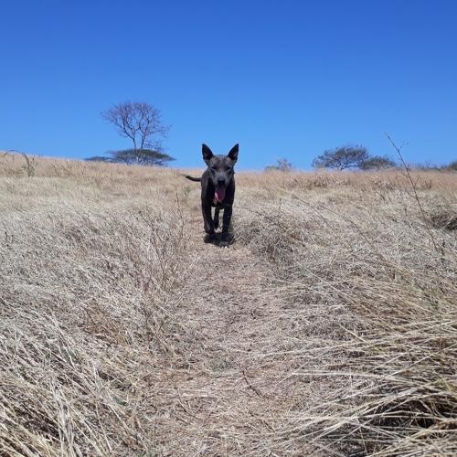 Photo #4697902
