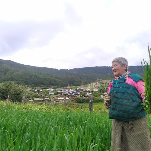 Photo #4697973