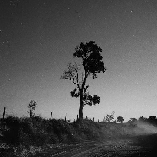 Photo #4697987