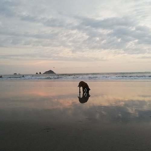 Photo #4697999